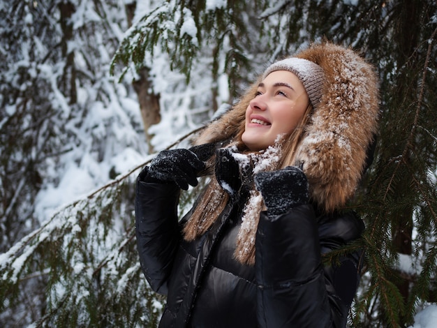 Winterspaziergang durch den Wald, schneebedeckter schöner Kiefernwald.