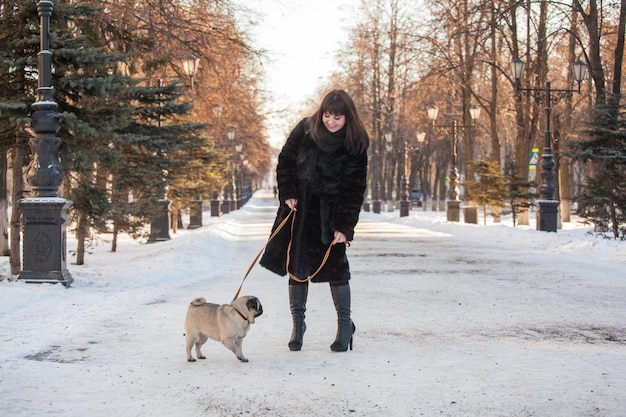 Winterspaziergang im Park mit einem Mopshund