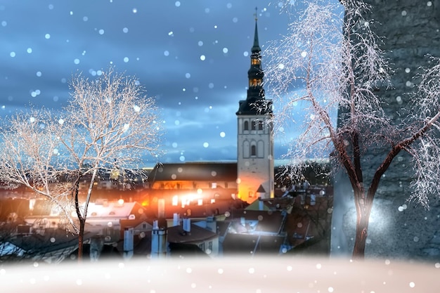 Winterstadt, schneebedeckte Bäume, mittelalterliche Altstadt von Tallinn