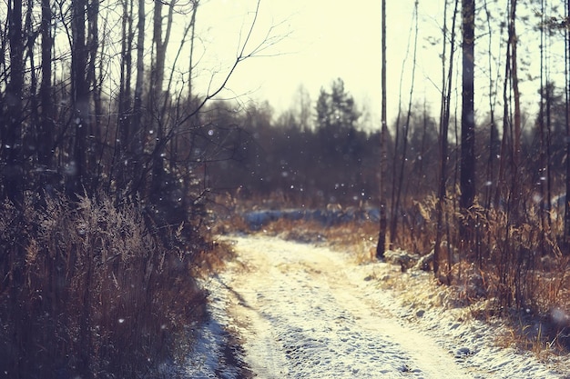 Winterstraße abstrakte Landschaft, saisonaler Pfad Dezember Schnee