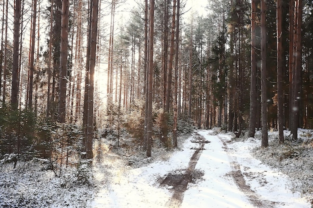 Winterstraße abstrakte Landschaft, saisonaler Pfad Dezember Schnee