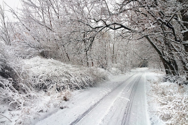 Winterstraße im verschneiten Wald. Weiße Winterlandschaft mit schneebedeckten Bäumen und Straßen