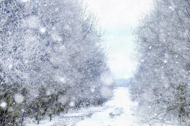 Winterstraßenlandschaft, schöne Aussicht auf eine verschneite Straße