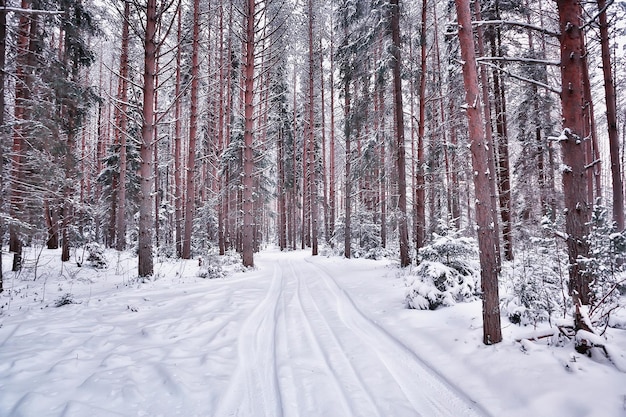 Winterstraßenlandschaft, schöne Aussicht auf eine verschneite Straße