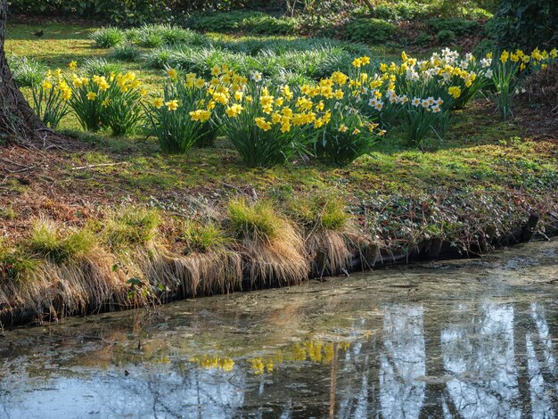 Winterswijk, nos Países Baixos