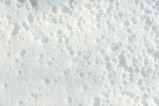 Foto wintertextur, schneebedeckter hintergrund