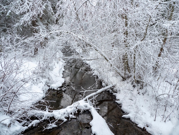 Wintertiefwald mit schmalem Fluss. Die Kraft der wilden majestätischen Natur. Karelia