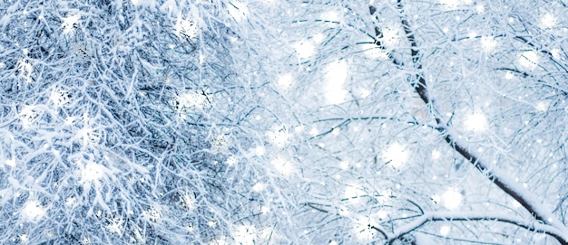 Winterurlaub Hintergrund Naturlandschaft mit glänzendem Schnee und kaltem Wetter im Wald zur Weihnachtszeit