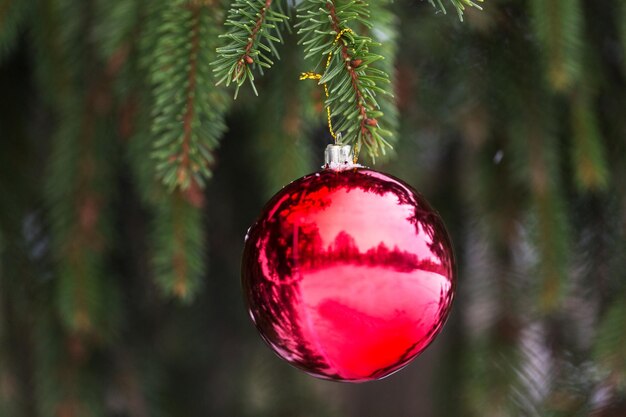 Winterurlaub und Dekorationskonzept - rote Weihnachtskugel auf einem mit Schnee bedeckten Tannenzweig