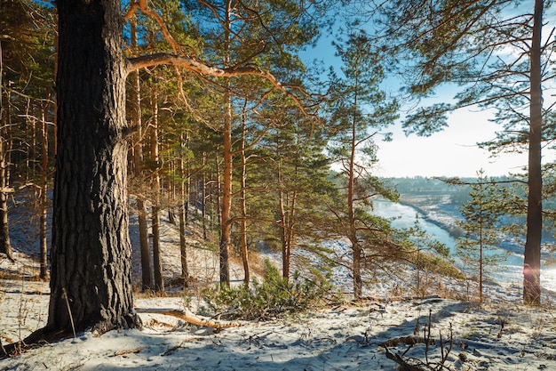 Winterwald auf dem Hügel und Fluss unten, sonniger Tag. Der Fluss Nerl in der Oblast Jaroslawl, Russland.