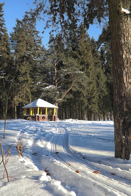 Winterwald mit schneebedeckter frostiger Landschaft