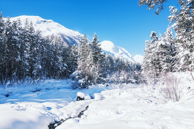 Winterwald und Berge nach Schneefall. Schöne Winterlandschaft.