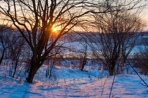 Winterwald und ein schneebedeckter Fluss bei Sonnenuntergang