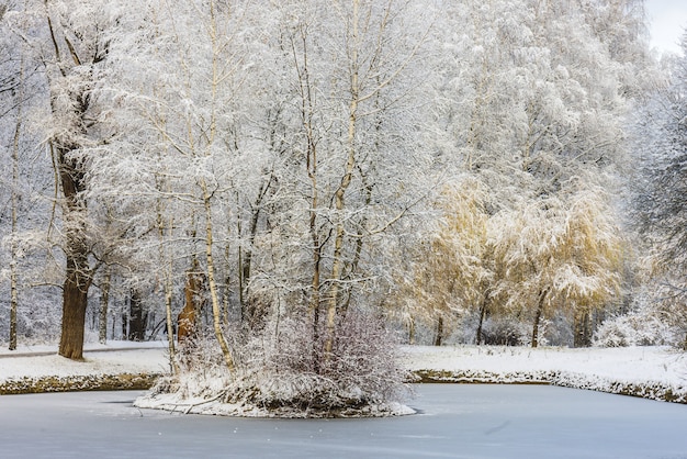 Winterwaldlandschaft. Bäume unter einer dicken Schneeschicht. Park Russlands, Moskaus, Sokolniki