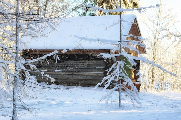 Winterwaldlandschaft Sonnenlicht Schnee