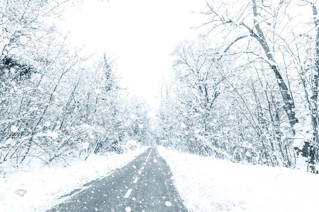 Winterwaldschneestraße. Waldstraße Winterschneeansicht.