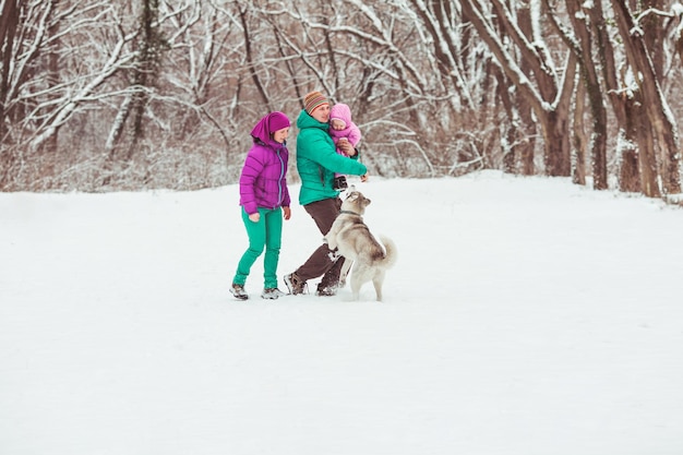 Winterwandern der Familie mit Husky, Spielen mit Haustieren in der Natur