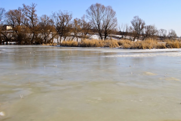 Winterwiese mit gefrorenem Wasser und Bäumen. Ländliche Landschaft