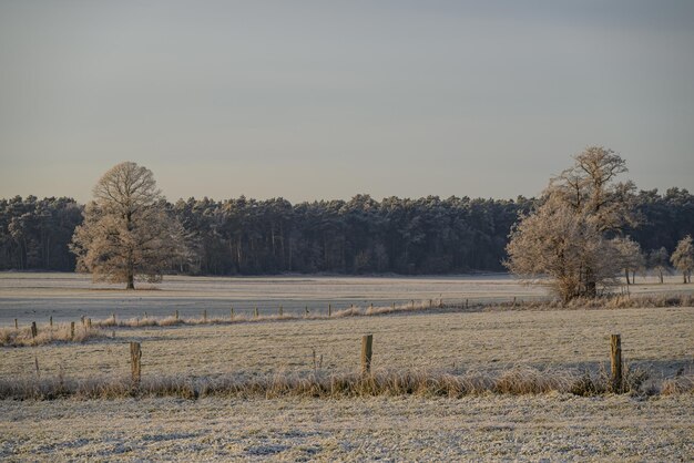 Winterzeit in Westfalen