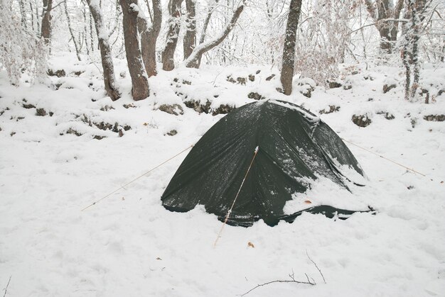 Winterzeltlager im Schneewald