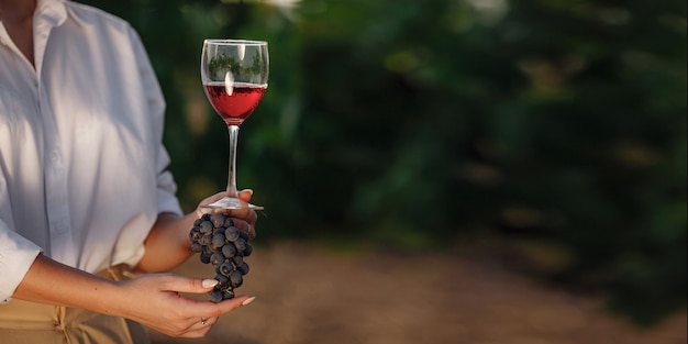 Winzerfrau, die Rotwein aus einem Glas und einer Traube in einem Weinberg schmeckt. Weinberge Hintergrund bei Sonnenuntergang. Makroaufnahme einer Sommelierhand, die das Weinglas hält