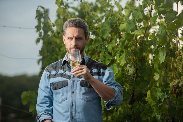 Winzermann Bauer trinkt Wein auf der Traubenfarm, Winzer.