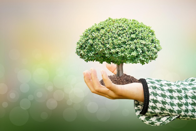 Wir lieben die Welt der Ideen kleiner Baum Naturunschärfe HintergrundWeltumwelttag