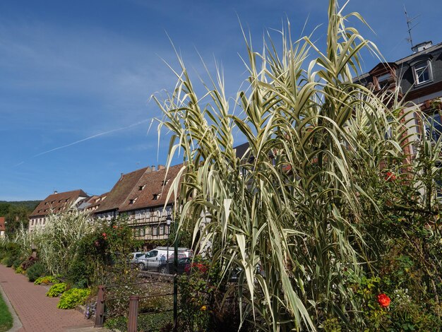 Foto wissembourg in frankreich