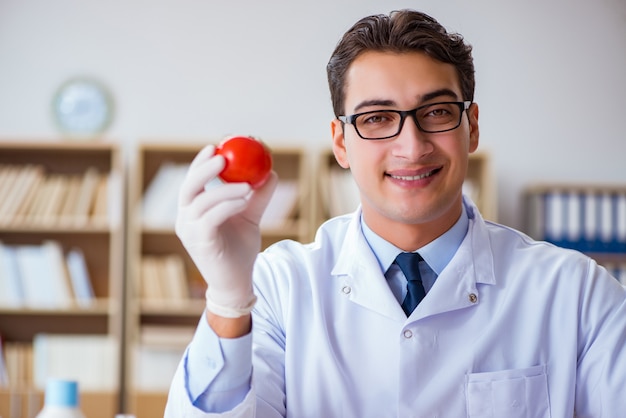 Foto wissenschaftler arbeiten an bio-obst und gemüse