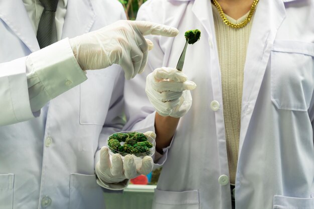 Foto wissenschaftler aus der nähe greifen mit einer pinzette einen erfreulichen haufen cannabis-unkrautknospen