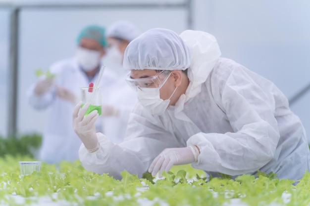 Wissenschaftler, die Wasserchemikalien für die Fütterung eines Pflanzengemüses auf der Gewächshausfarm überprüfen und testen. Bio-Bauernhof mit High-Tech. Landwirtschaft für die Nahrung der Zukunft. Die Salate wachsen durch Hydrokultur.