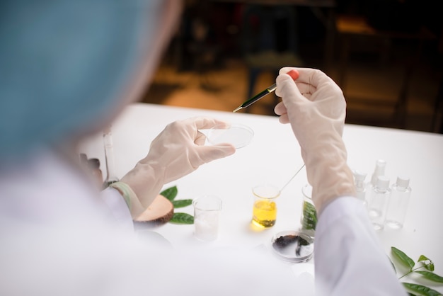 Wissenschaftlerhand, die grünes Blatt in der Glascuvette auf Labor hält. Biotechnologie-Konzept.
