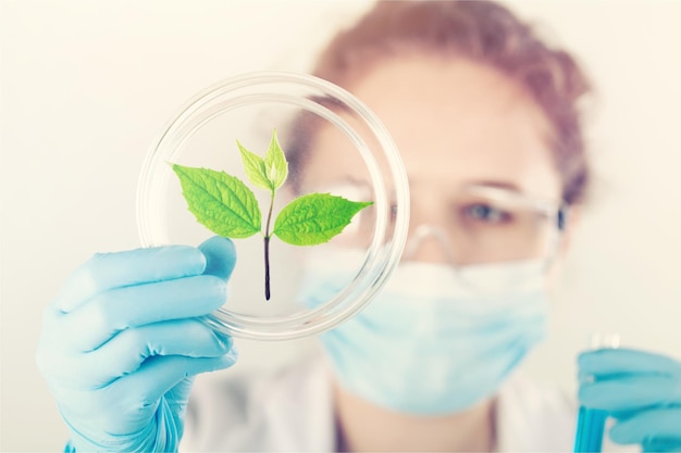 Wissenschaftlerin hält eine grüne Pflanze