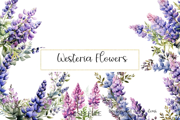 Wisteria Blumen Clipart PNG Einladungen Cliparts