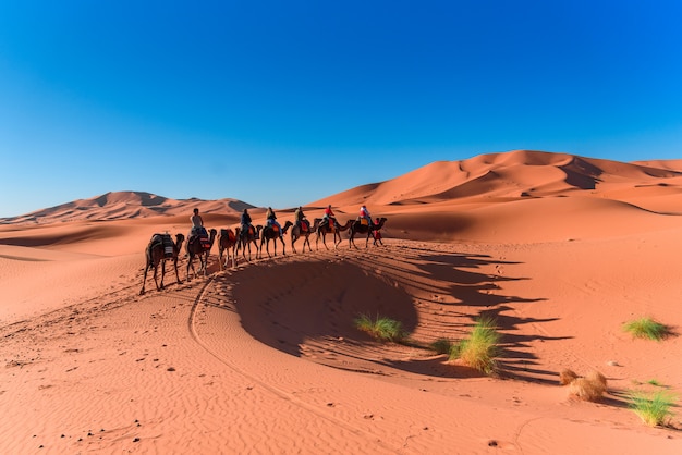 Wohnwagen, der in Wüste Merzouga Sahara auf Marokko geht