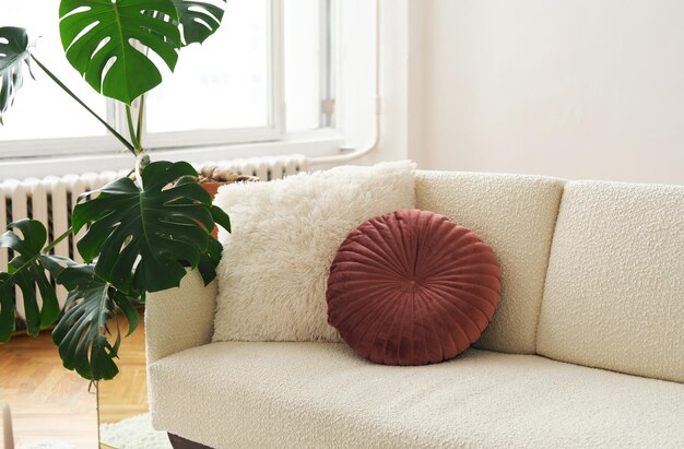 Wohnzimmer Innenarchitektur Neben dem Fenster steht ein helles Sofa. Neben dem Sofa steht ein Topf mit natürlichen Monstera