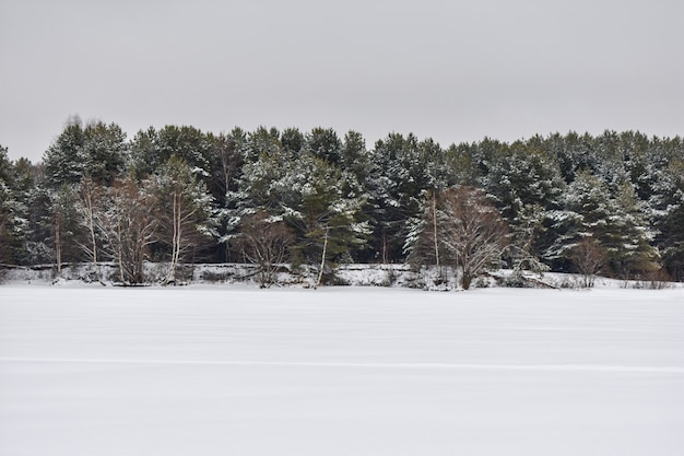 Wolgaküste im Winter