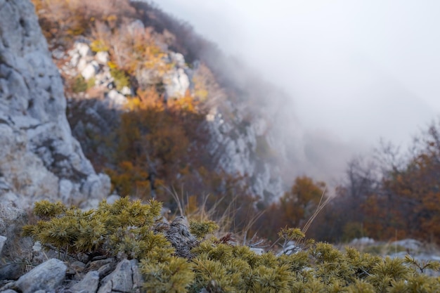 Wolke bedeckt den Gipfel eines Berges