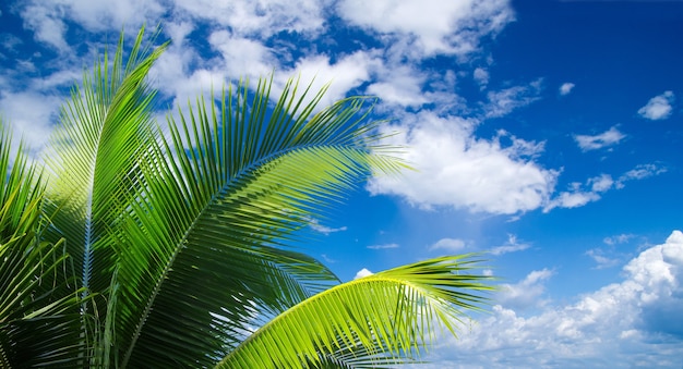 Wolken am blauen Himmel