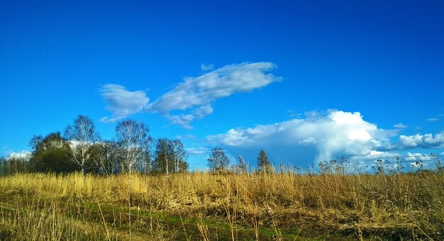 Wolken fliegen über ein weites Feld