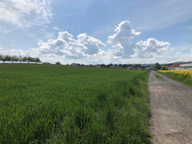 Wolken uber Feld