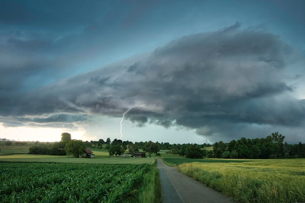 Wolken über dem Feld