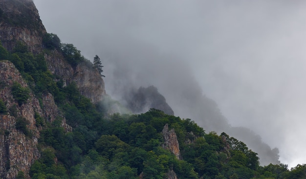 Wolken über den Gipfeln der felsigen Berge, bewachsen mit Bäumen. Fotografiert im Kaukasus, Russland.