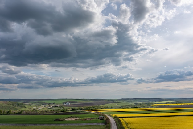 Wolken über landwirtschaftlichem Rapsfeld Luftaufnahme