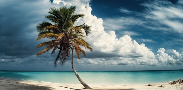 Wolken und eine Palme an einem karibischen Strand