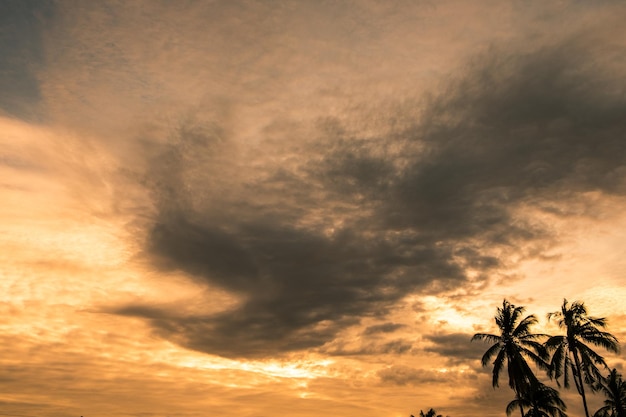 Wolkenhimmel goldener Sonnenuntergang Form Phönix