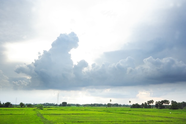 Wolkenstrom über grünem Feld