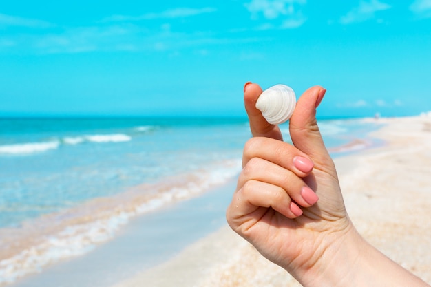 WomanÂ´s Hand hält eine Muschel am Strand.