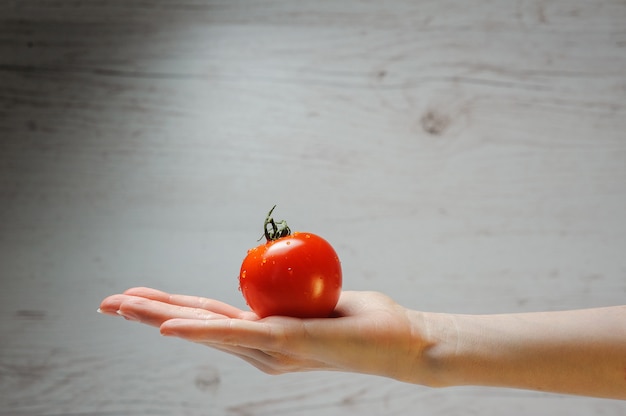 Womans mão segurando tomate fresco