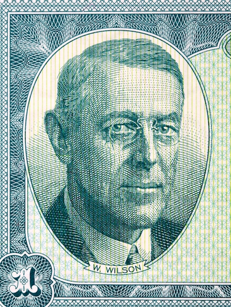 Woodrow Wilson un retrato del dinero